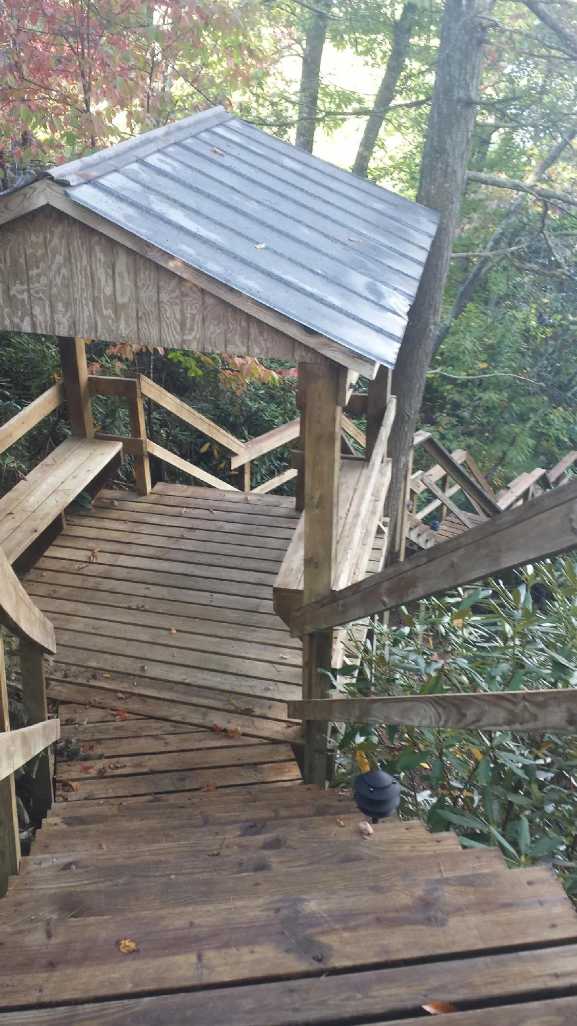 Metal roofed shelter over wooden steps on a wooded walkway — Skylight Repair & Installation work by our crew in Benicia
