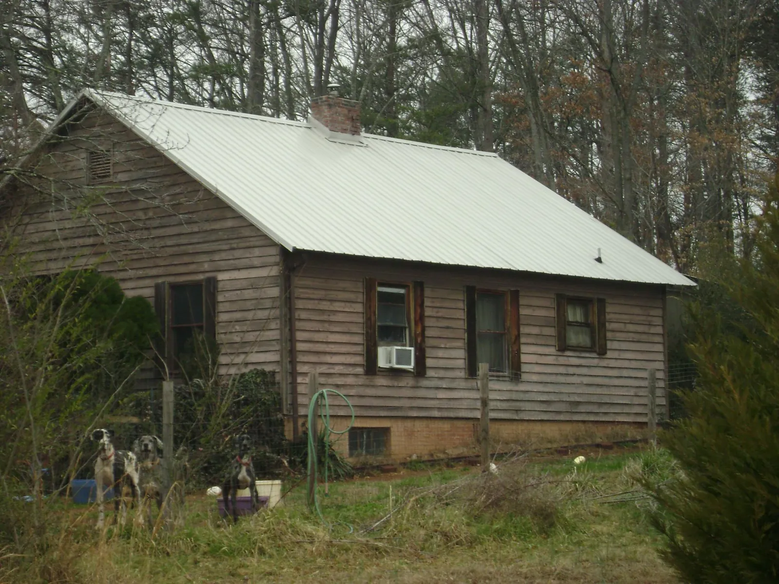 White metal roof on an old wood sided farmhouse, from a Asphalt Shingle Roof Repair job in Benicia